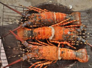 448-2top-16-mon-an-hai-san-ngon-noi-tieng-khong-nen-bo-qua