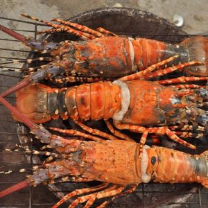 448-2top-16-mon-an-hai-san-ngon-noi-tieng-khong-nen-bo-qua