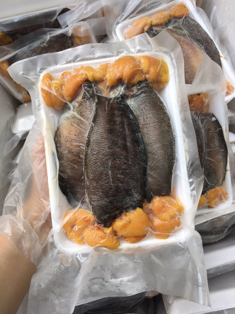 Cá sặc trứng một nắng