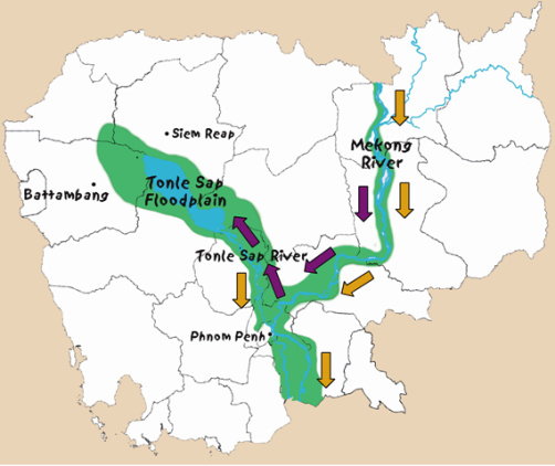 Khô cá lóc Biển Hồ