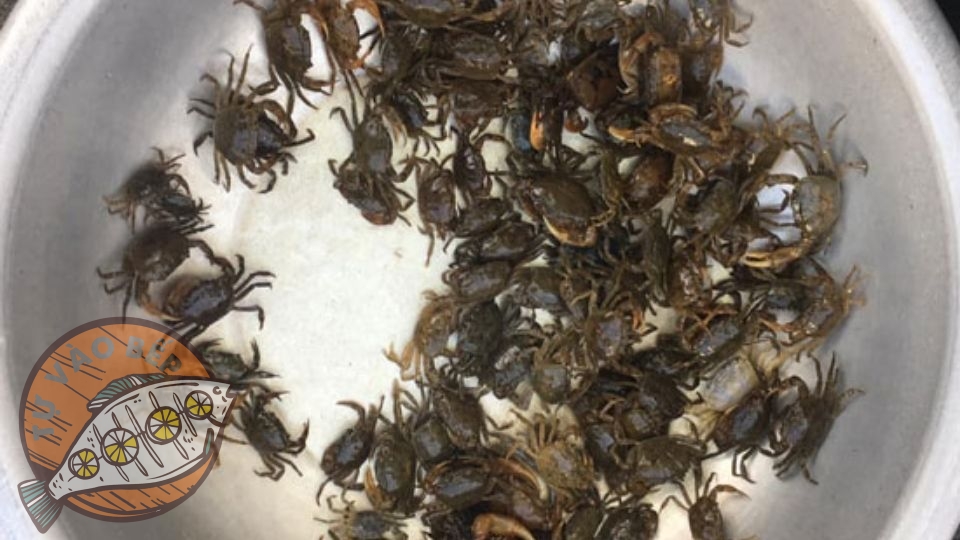 cách nấu bún riêu cách nấu bún riêu