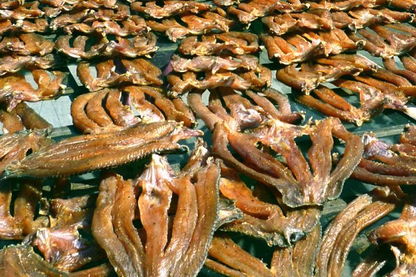 Khô cá lóc – Đặc sản miền tây