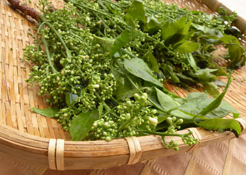 Khô cá lóc – Đặc sản miền tây